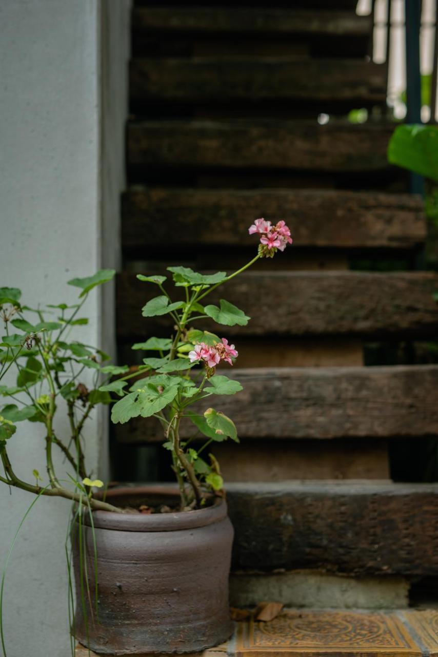 Polygon Art And Homestay Hà Nội Ngoại thất bức ảnh